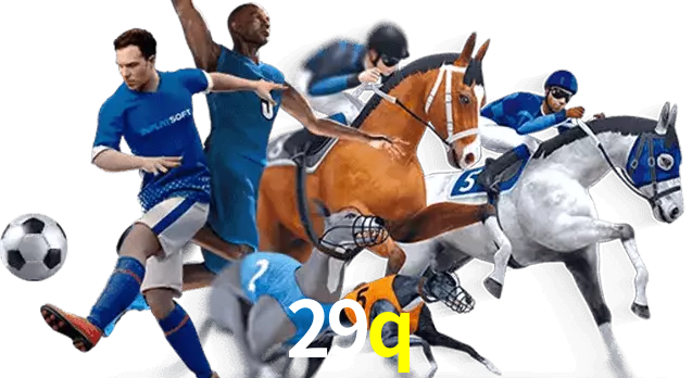 29q