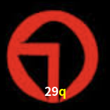29q Salvador - Football